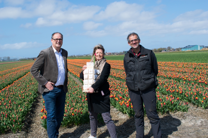 Libertas Pascal tulpenbollenpapier teeuwen 10