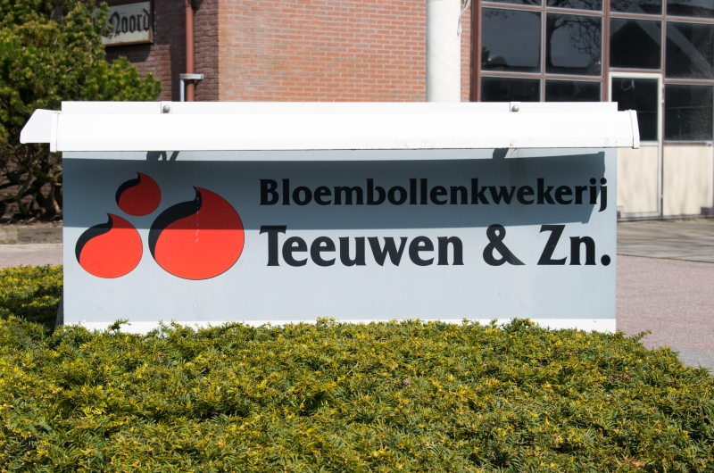 Libertas Pascal tulpenbollenpapier teeuwen 2 Libertas Pascal tulpenbollenpapier teeuwen 2